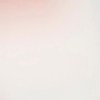 El hantavirus es altamente contagioso al inicio, advierte la OMS. Recomiendan cuarentena para casos sospechosos