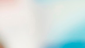 El hantavirus es altamente contagioso al inicio, advierte la OMS. Recomiendan cuarentena para casos sospechosos