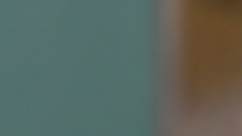 El sector privado en EE.UU. agregó 109,000 puestos de trabajo en abril, según datos de ADP