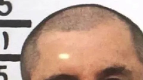 "El Chapo" envió cinco cartas pidiendo cancelación de su sentencia.