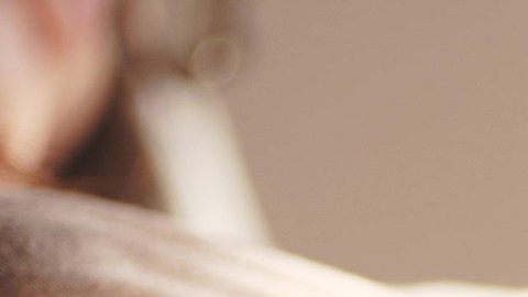 Por la salud de tu hijo: si estás embarazada, aléjate de los disruptores endocrinos
