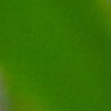 Estos estimulantes naturales te ayudarán a repotenciar energía