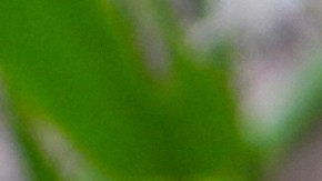 Estos estimulantes naturales te ayudarán a repotenciar energía