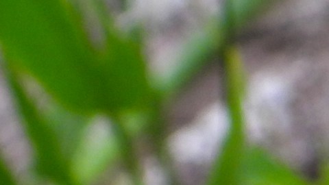 Estos estimulantes naturales te ayudarán a repotenciar energía