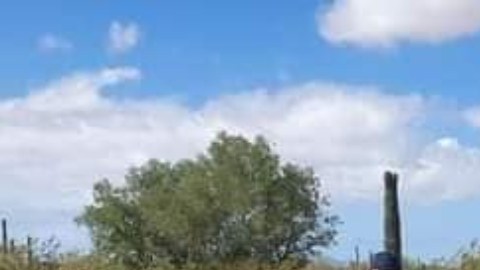 Hallazgo de fosa