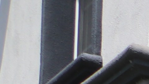 La Unión de Vecinos en Acción de los apartamentos Wyvernwood Garden se manifestó por un alto al incremento de la renta, a los desalojos y a los cobros por mantenimiento.