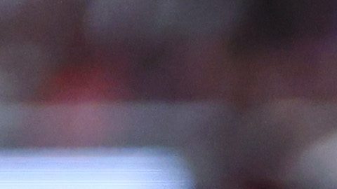 Armando González ha sido vinculado al Sporting Lisboa de Portugal.
