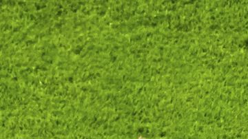 Efraín Juárez busca su primer trofeo en la Liga MX.