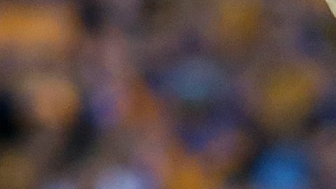 Tigres en la final de la Copa Libertadores de 2015.