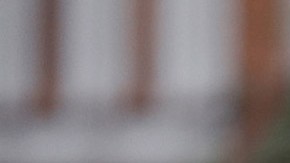 Joe Biden, expresidente estadounidense