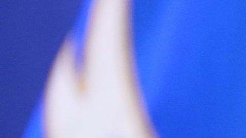 Kash Patel enfrenta cuestionamientos por presuntos viajes personales con recursos del FBI.