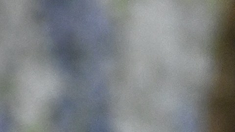 Kris Jenner afirma que se enfermó cuando probó el Ozempic: "Me sentó muy mal"