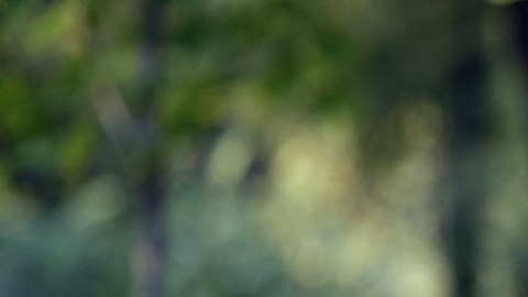 ¡No es solo cuestión de genética! Factores que hacen que las mujeres vivan más que los hombres