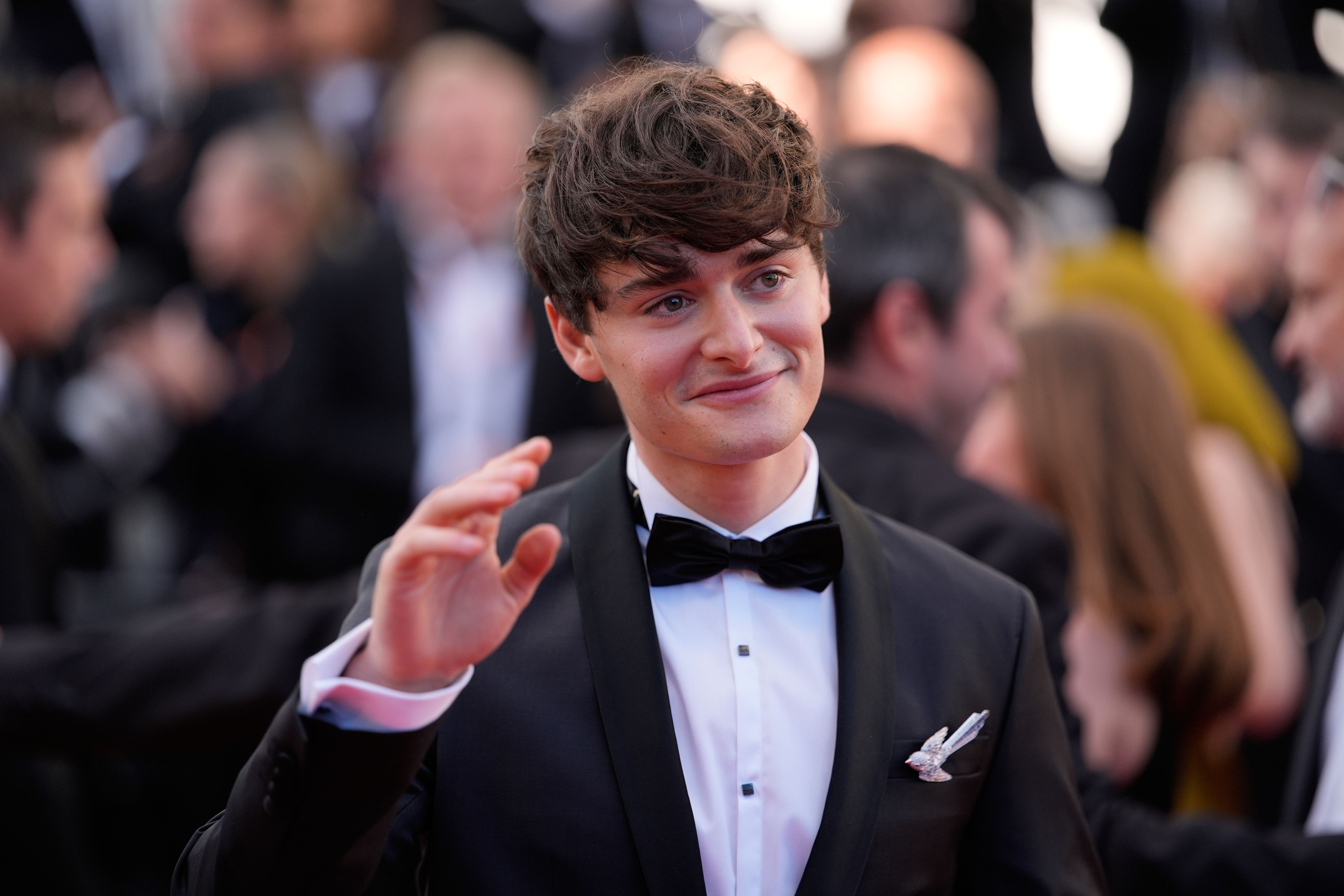 France Cannes 2026 The Beloved Red Carpet