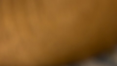 Cúrcuma, canela, orégano y pimienta negra: especias comunes y su impacto en la salud