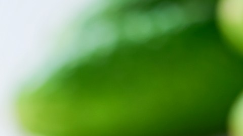 El pepino y los secretos que la ciencia no para de revelar