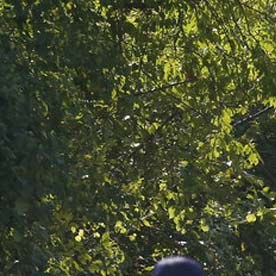 Operativo policiaco en Oklahoma