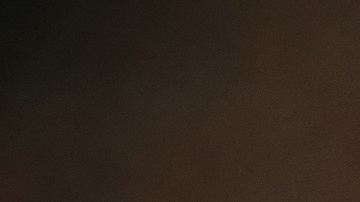 ¿Pueden las mascotas transmitir el hantavirus a los humanos?