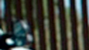 Trump destaca un año sin liberaciones migratorias en frontera con México
