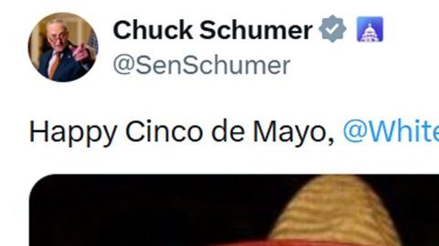 El líder de la minoría del Senado, Chuck Schumer, publicó una imagen sobre Trump y Epstein.