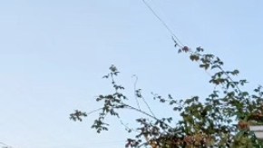 Residentes del sur de Los Ángeles respaldan a José Ugarte (derecha, azul).
