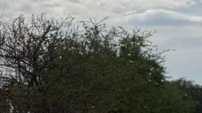 Violencia en Guanajuato