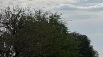 Violencia en Guanajuato