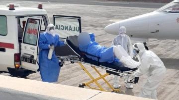 Identifican cepa andina de hantavirus que se transmite entre humanos en el brote mortal del crucero que zarpó de Argentina