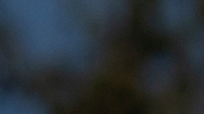 Según la información oficial, las 41 personas vigiladas pertenecen a tres grupos distintos.