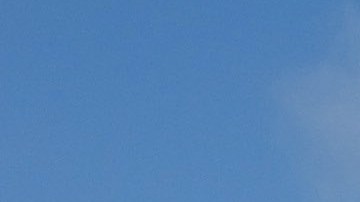 La mayoría de los vuelos de la Marina y la Fuerza Aérea de Estados Unidos, registrados desde el 4 febrero.
