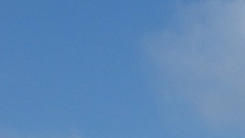 La mayoría de los vuelos de la Marina y la Fuerza Aérea de Estados Unidos, registrados desde el 4 febrero.