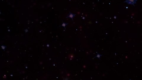 Plutón estará retrógrado en Acuario a partir del 6 de mayo de 2026.