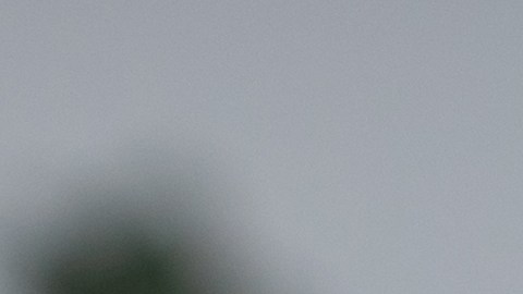 Semanalmente, Netflix actualiza su catálogo de series y ofrece alternativas por categorías y gustos personales.