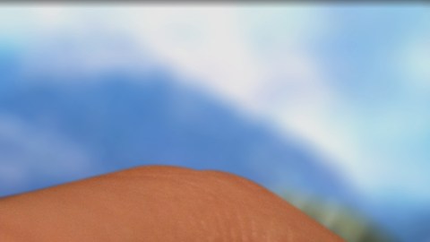 Los códigos de Free Fire se actualizan de forma constante por lo que se recomienda utilizarlos lo antes posible