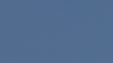 El programador Kyle McDonald desarrolló un rastreador de jets privados para detectar señales de alerta entre las élites globales.