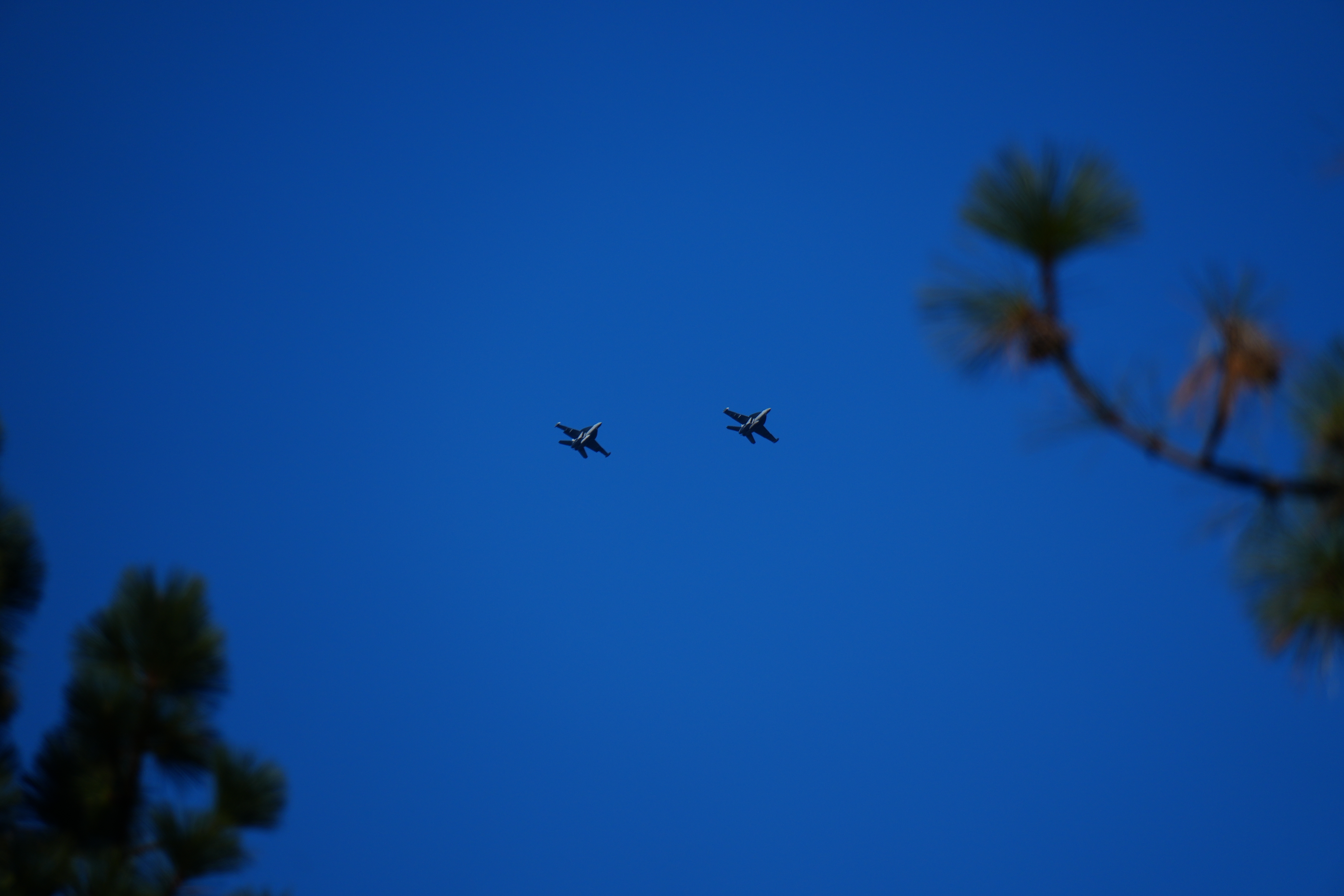 Scotts,Valley,,California,,Usa.,December,?8,,?2024.,A,Pair,Of