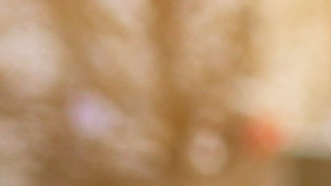 La víctima fue identificada como Jay Roush, de 64 años, quien fue encontrado sin vida el viernes al mediodía en el Eagle Ridge Golf Course