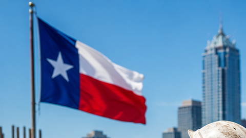 Trabajos de electricista, soldador o constructor en Texas