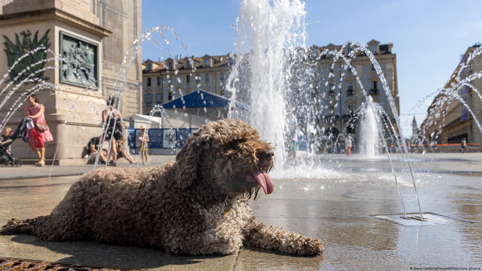 La ola de calor se recrudece en Europa, dos niños muertos