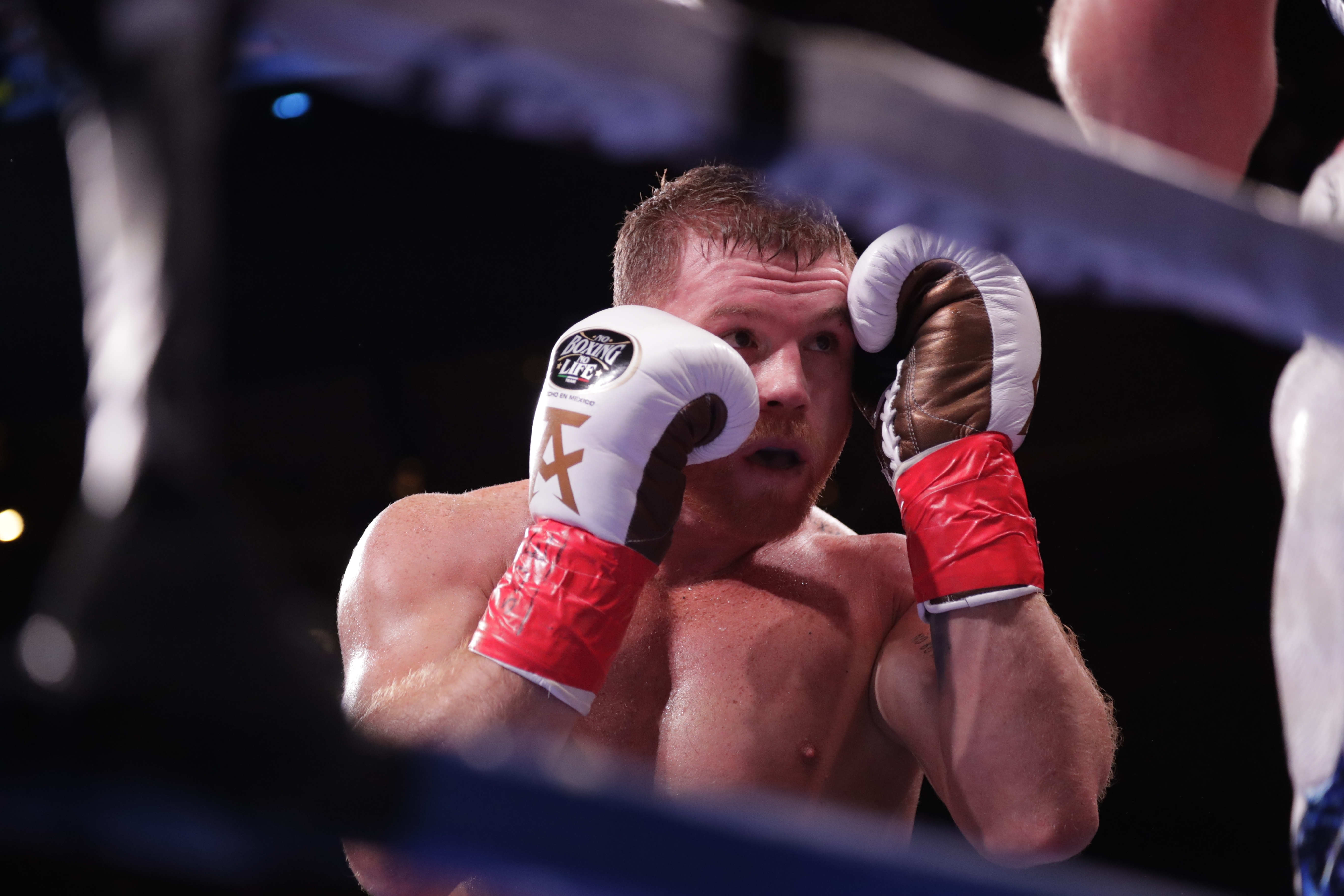 Canelo Álvarez aún no regresa al ring y ya tiene en mente retar a otro campeón mundial
