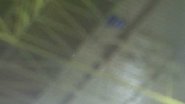 Veljko Paunovic, seleccionador de Serbia.