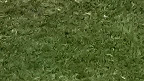 Ugurcan Cakir, portero de Turquía, se lanza en vuelo espectacular para desviar el remate de Christian Pulisic, quien reapareció con la selección de Estados Unidos.