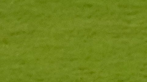 Australia y Paraguay se neutralizaron en la cancha.
