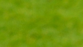 Senegal's Iliman Ndiaye (13) celebrates Senegal's fifth goal during the World Cup Group I soccer match between Senegal and Iraq in Toronto, Friday, June 26, 2026. (AP Photo/Olivia White)
