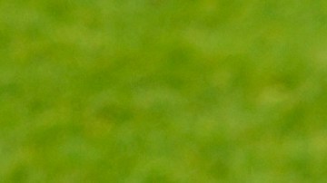 Senegal's Iliman Ndiaye (13) celebrates Senegal's fifth goal during the World Cup Group I soccer match between Senegal and Iraq in Toronto, Friday, June 26, 2026. (AP Photo/Olivia White)