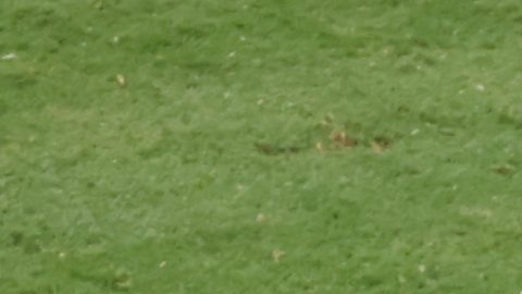 Las atajadas de Orlando Mosquetra no fueron suficientes para mantener el cero en la meta.