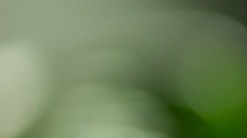 Ola de calor prolongada acecha a la mitad oriental de EE.UU.: ¿qué se espera?