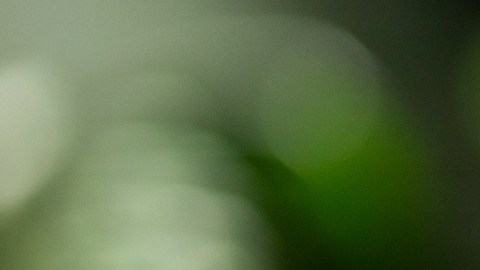 Ola de calor prolongada acecha a la mitad oriental de EE.UU.: ¿qué se espera?