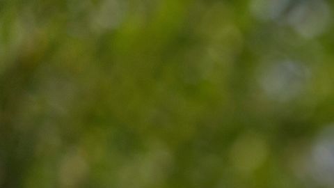 Bill Pulte dirigirá de forma interina la comunidad de inteligencia por decisión de Trump.