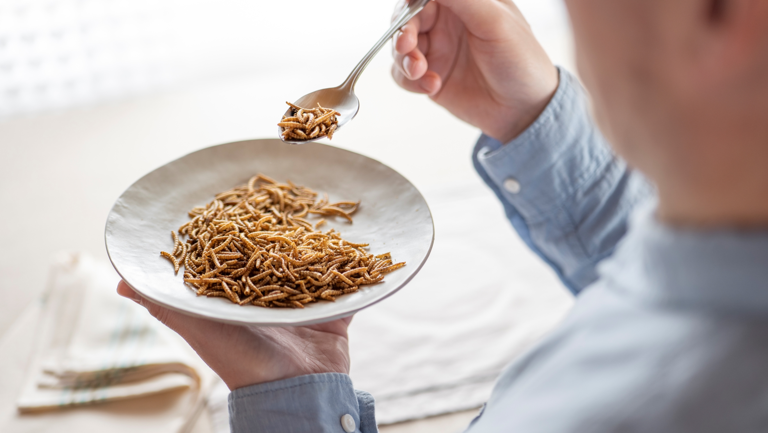 Una degustación podría ser suficiente para que te motives a consumir alimentos a base de insectos